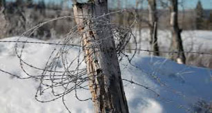 Barbed Wire Fencing 2